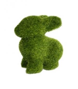 grassrabbit