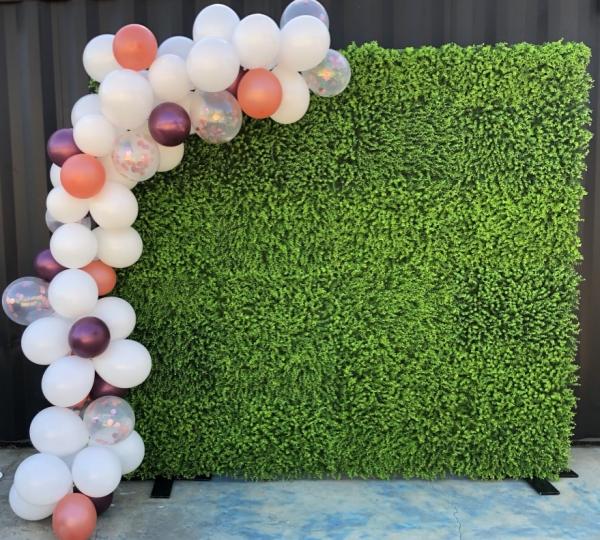 https://www.makinmemories.co.za/photos/Hedge%20backdrop%20with%20balloons%20for%20hire-2262.jpg